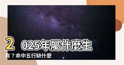 乙巳年 五行|乙巳年五行屬什麼？探索乙巳年的十二生肖和五行特性